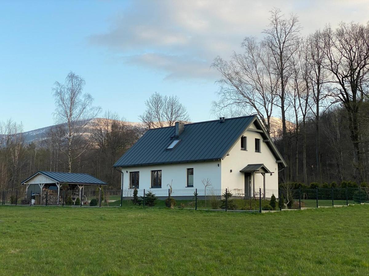 Cicha Ostoja Villa Milkow  Luaran gambar